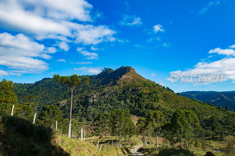 Urubici, Santa Catarina，巴西- araucarias，田野和山脉